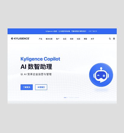 国内头部大数据公司